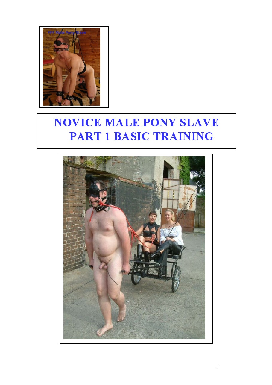 novice_male_pony_slave_1 novice_male_pony_slave_1